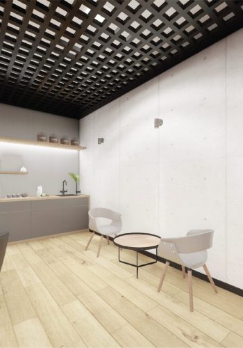 Renders PARC-19-min